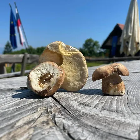 Planinski Dom Jance * Lublana