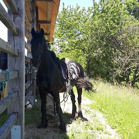 Planinski Dom Jance Lublaň