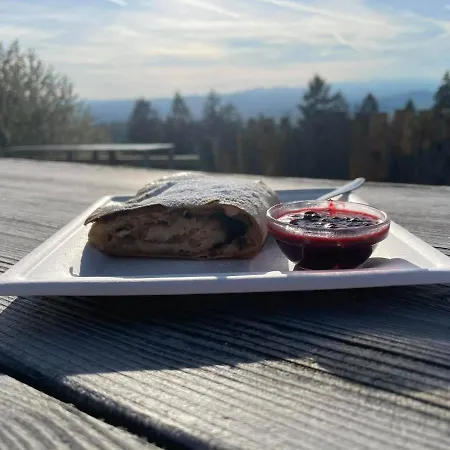 Planinski Dom Jance Pensjonat *