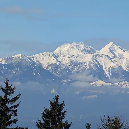 Affittacamere Planinski Dom Jance Lubiana