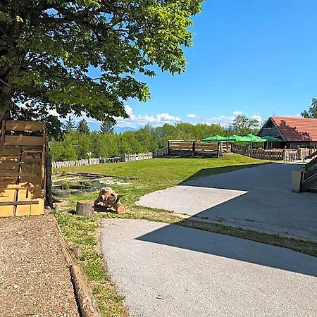 Gostinjska kuća Planinski Dom Jance