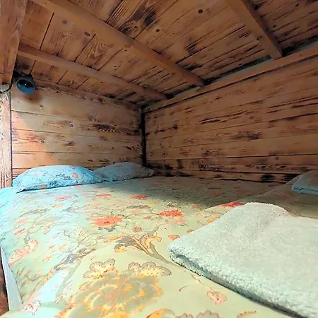 Planinski Dom Jance Guest house