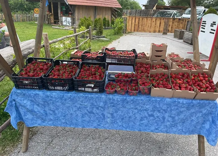 بيت ضيافة Planinski Dom Jance ليوبليانا