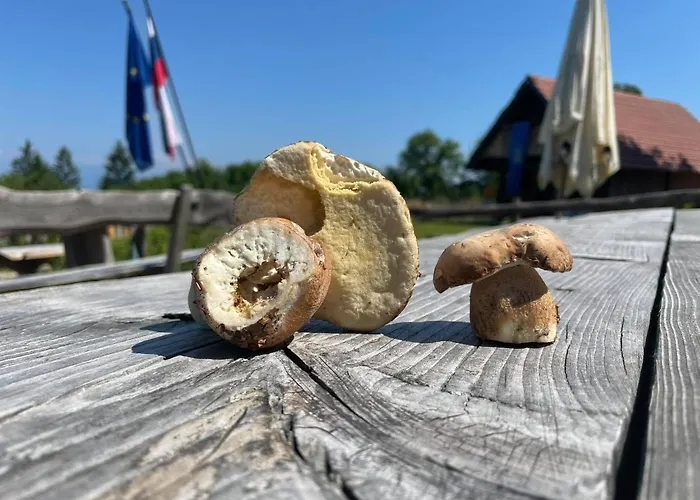 Planinski Dom Jance * ليوبليانا