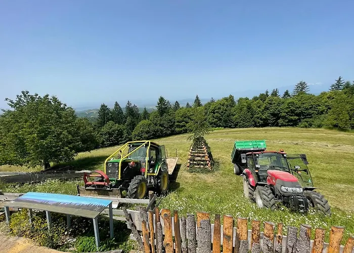 Pensionat Planinski Dom Jance