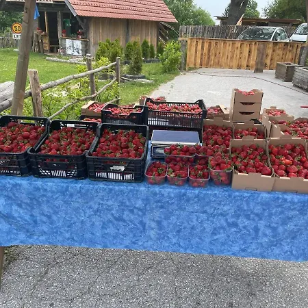 Gasthof Planinski Dom Jance Laibach