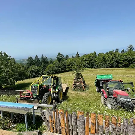 Gasthof Planinski Dom Jance